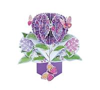 Second Nature Carte de vœux pop-up 3D Motif fleurs et papillons