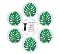 Secopad Lot de 10 autocollants antidérapants pour baignoire, douche et baignoire avec grattoir de qualité supérieure