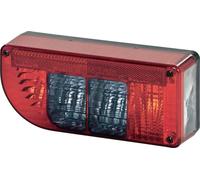 SecoRüt Feu arrière pour porte-vélo clignotant, feu stop, éclairage de plaque minéralogique, feu antibrouillard arrière