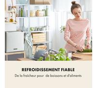 Secret Cool Mini-frigo Mini Bar 13l 22dB 2 étages G