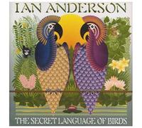 Secret Language Of Birds