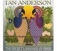 Secret Language Of Birds