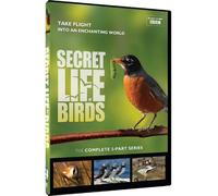 Secret Life of Birds: 5 Part Series