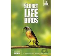 La vie secrète des oiseaux – Discovery – DVD – NL