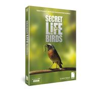 Secret Life of Birds [DVD] [Import]
