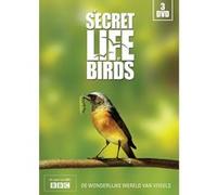 La vie secrète des oiseaux – Discovery – DVD – NL
