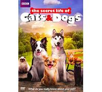 Secret Life of Cats & Dogs