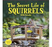 Workman Calendars – Calendrier mural – Secret Life of Squirrels – 2026