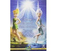 Secret Of The Wings
