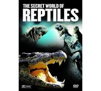 The Secret World Of Reptiles G