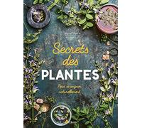 Secrets des plantes Michel Pierre (Auteur), Michel Lis (Auteur)