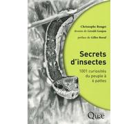 Secrets D'insectes - 1001 Curiosités Du Peuple À 6 Pattes