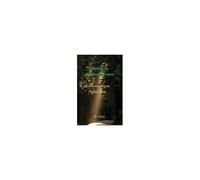 Secrets In Anderton Forest: Quillton's Urgent Pigeon Post Paperback Book By A. Daly