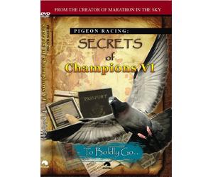 Secrets of Champions VI: To Boldly Go...