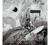 David Sylvian – Secrets of the Beehive – Vinyle 12" Jaune opaque