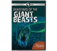 Secrets Of The Dead: Graveyard Of Giant Beasts [Dvd] [Import]