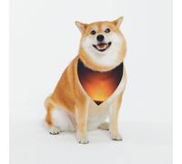 Secrets of The Grid Bandana mural lavable pour chien de petite et grande taille pour fille ou garçon, accessoires pour animaux de compagnie