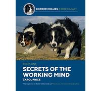 Secrets Of The Working Mind