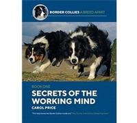 Secrets Of The Working Mind by Carol Price Carol Price (Auteur)