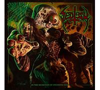 SECTESY - IN THE SECRETION-MEGA BOX VINYL LP+CD NEUF