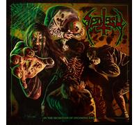 SECTESY - IN THE SECRETION-MEGA BOX VINYL LP+CD NEUF