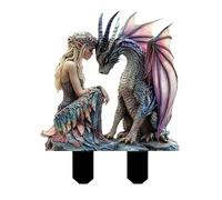 Sections pour Les Filles Et Les Dragons, Décoration De Pot De Fleurs De Fée, Brochettes De en Acrylique 2D pour Les en Pot, Les Comploteurs De Fées, Les Pots De Fleurs, La Décoration