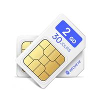 SECUEYE Carte SIM 4G LTE - Données seules, prépayée sans Engagement, Couverture Nationale, pour caméras de sécurité, routeurs, hotspots Mobiles et appareils IoT débloqués (2Go/30jours)