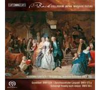 Secular Cantatas Vol.3