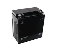 SECURA Batterie gel 12V 14Ah compatible avec McCulloch M125-97TC 960510149 Tracteur de pelouse