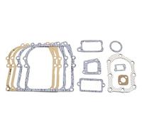 SECURA Kit de joints compatible avec Briggs & Stratton 093502 Moteur