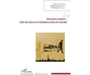 Sécurité routière : état des lieux et initiatives dans le monde Sandrine Gaymard (Auteur), Teodor Tiplica (Auteur)