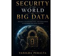 Security in the World of Big Data: Privacy, Vulnerabilities, and Resilience in Distributed Data Systems