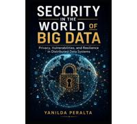 Security in the World of Big Data: Privacy, Vulnerabilities, and Resilience in Distributed Data Systems