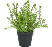 Sedum acre Yellow Queen 32cm vert Plante artificielle en pot plastique 12,5x11cm facile d'entretien décoratif