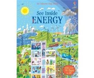 See Inside Energy by Alice James Alice James, Peter Allen (Auteur)