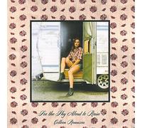 See The Sky About to Rain [Import Allemand]