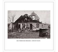 See Through Dresses - End of Days