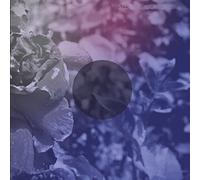 See Through Dresses - See Through Dresses