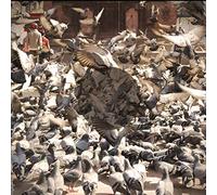 See Through Dresses - See Through Dresses