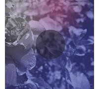 See Through Dresses - See Through Dresses