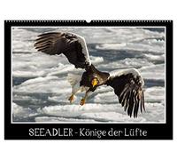 Seeadler - Könige der Lüfte (Wandkalender 2026 DIN A2 quer), CALVENDO Monatskalender: Seeadler in ihrer natürlichen Umgebung.