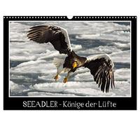 Seeadler - Könige der Lüfte (Wandkalender 2026 DIN A3 quer), CALVENDO Monatskalender: Seeadler in ihrer natürlichen Umgebung.
