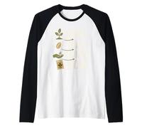 Seed Saver Graines de Plantes indigènes Manche Raglan