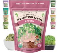 Seedboy Graines de radis biologiques sans OGM pour germination - Graines de germination de microgreens cultivées aux États-Unis - Sac de 226,8 g pour 24 portions (radis DAIKON)