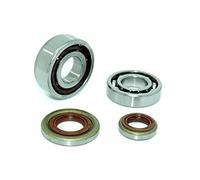 SEEDDFF MS240 MS260 Vilebrequin roulement à Billes Joint d'huile Kit de Cage à Aiguille adapté for Stihl 026 Pro AV 024 MS 240 260 pièce de tronçonneuse 95230034260