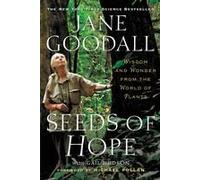 Seeds Of Hope