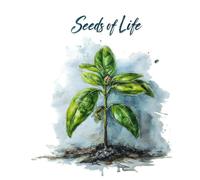 Seeds of Light: A Guided Self-Reflection Journal