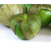 seedsown 10 graines fraîches - Tomatilla Verde - Great Salsa Makes!