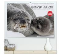 Seehunde und Otter. Putzige Gesellen, perfekte Schwimmer (hochwertiger Premium Wandkalender 2026 DIN A2 quer), Kunstdruck in Hochglanz: Niedliche ... Schwimmer aus der Nähe betrachten