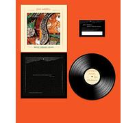 Seeing Through Sound (Pentimento Volume Two)